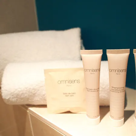 머큐어 센터 갸르 4* 앙제