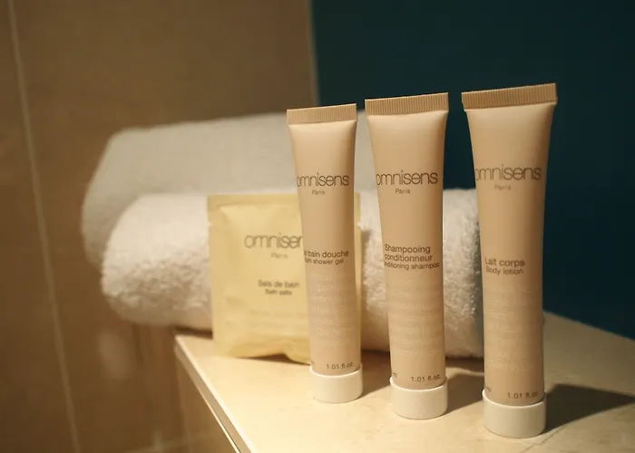 Mercure Centre Gare Hotel Angers